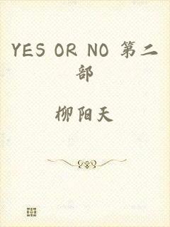 YES OR NO 第二部